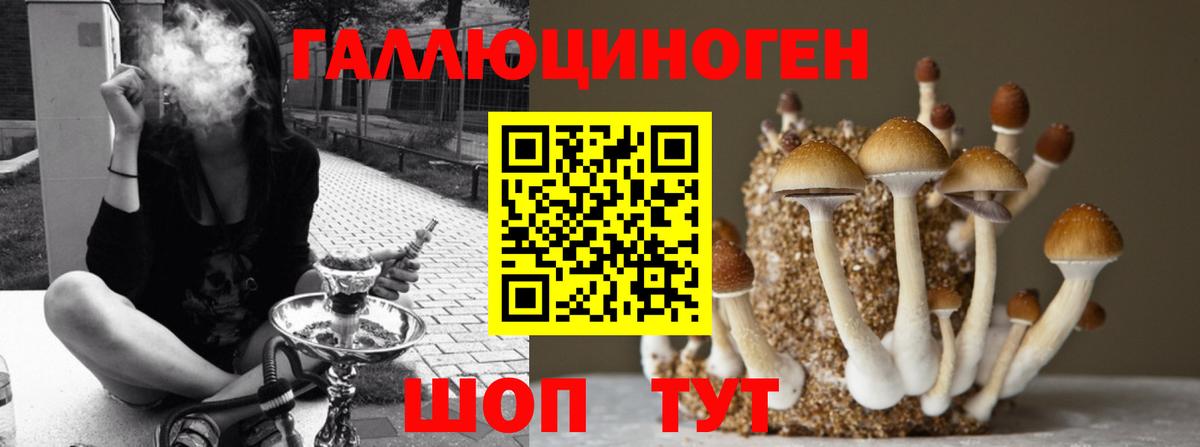 Псилоцибиновые грибы прущие грибы Благовещенск